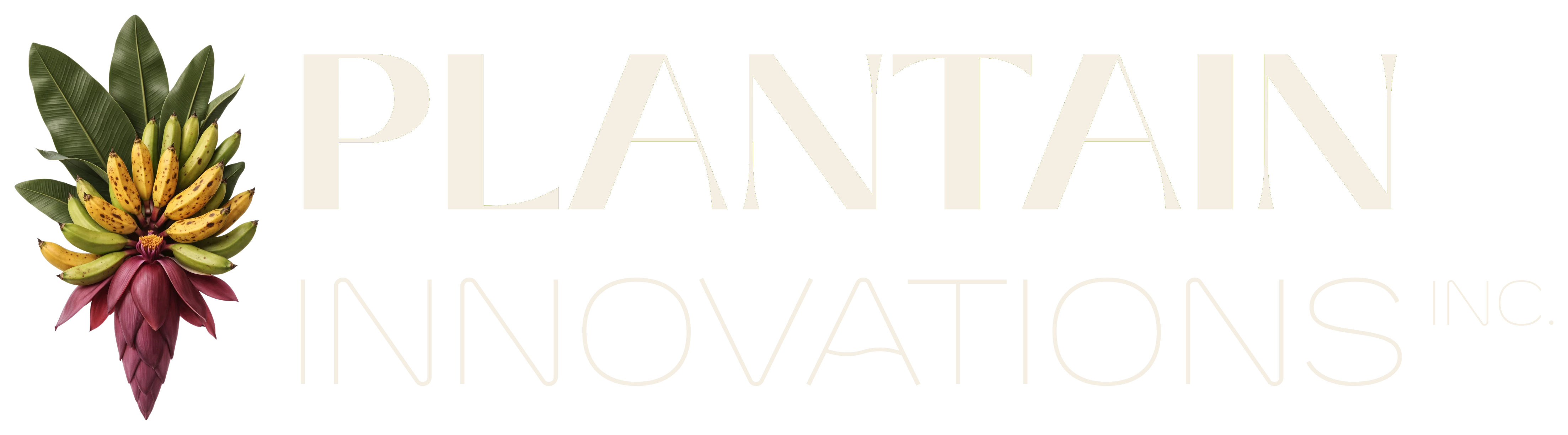 Plantain Innovations Inc.